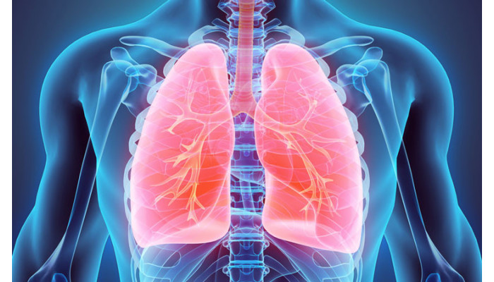 Ảnh hưởng của nước uống nhiễm ch&igrave;